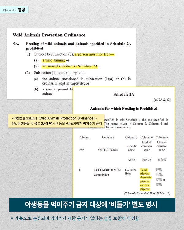 02비둘기 법개정.png
