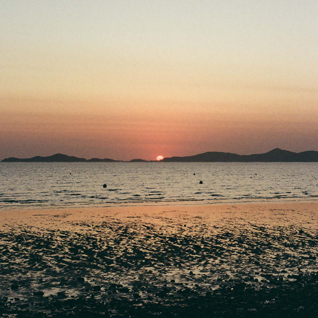 196 반짝이며스러지는작은것.png