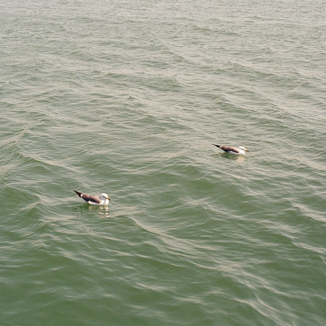 127 늘옆에늘곁에.png