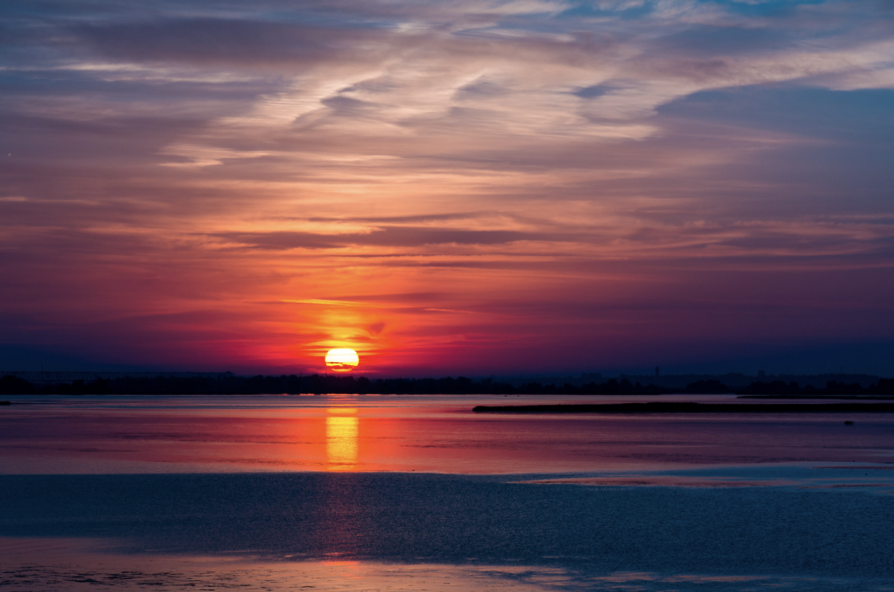 스크린샷 2024-11-30 오전 10.59.15.png