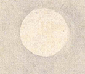 스크린샷 2023-12-07 오후 3.52.25.png