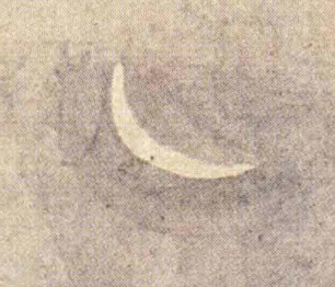 스크린샷 2023-11-16 오후 2.56.14.png