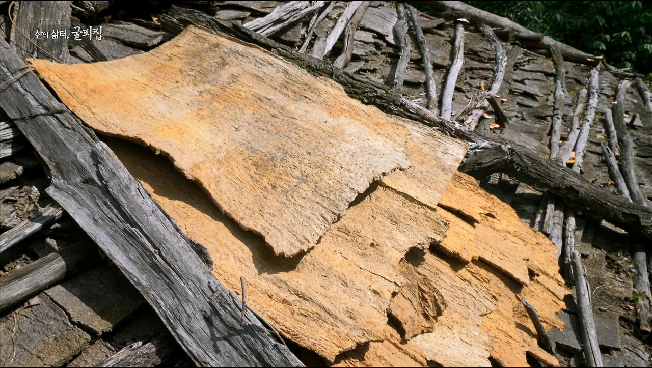 스크린샷 2024-07-31 040626.png