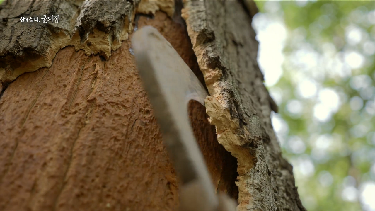 스크린샷 2024-07-31 040425.png