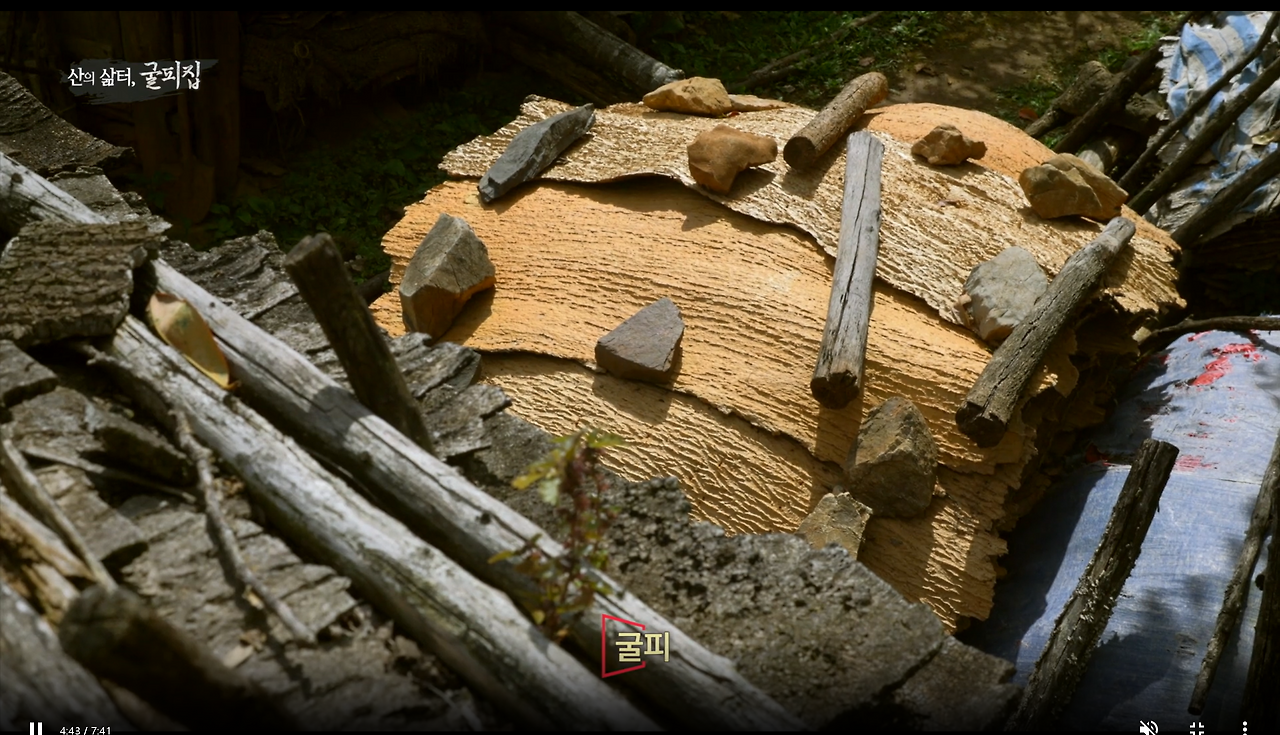 스크린샷 2024-07-31 040540.png