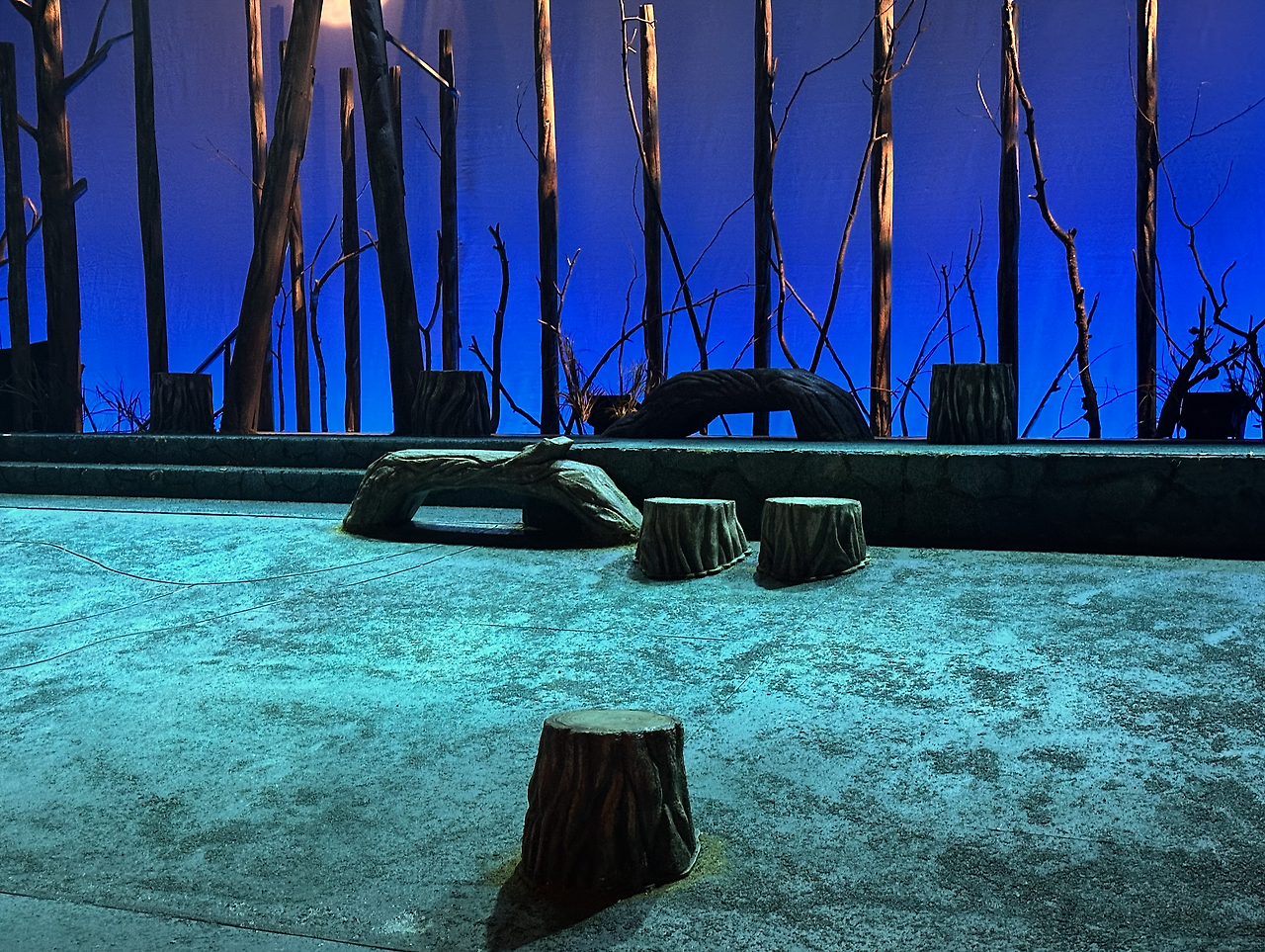 Screenshot 2025-01-19 at 10.00.21 PM.png