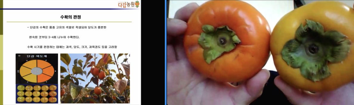 Screen Shot 2021-10-27 at 10.06.47 AM.png