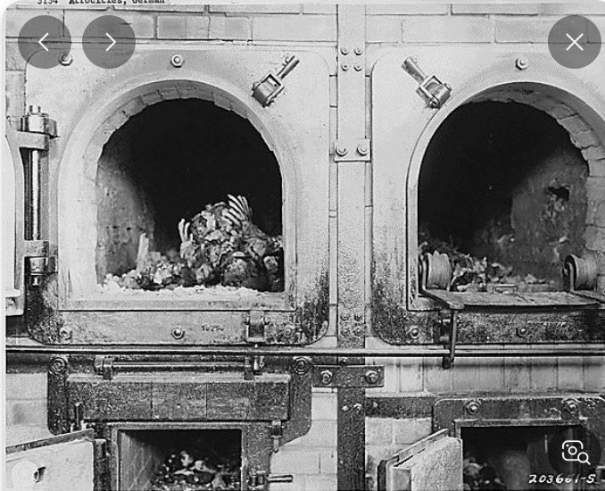 스크린샷 2025-04-16 133612.png