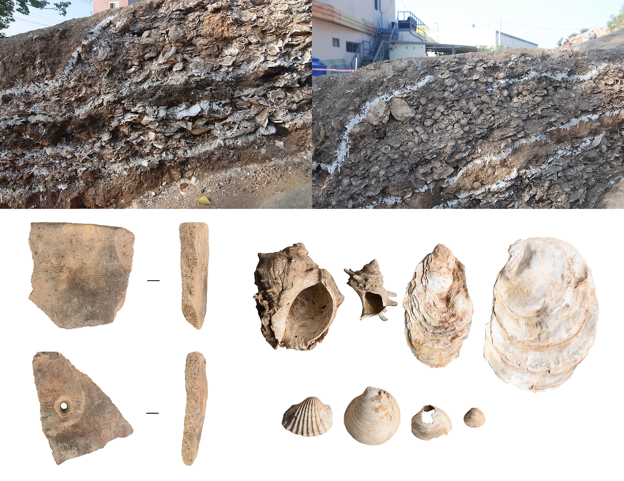 김해 농소패총과 출토 유물.png