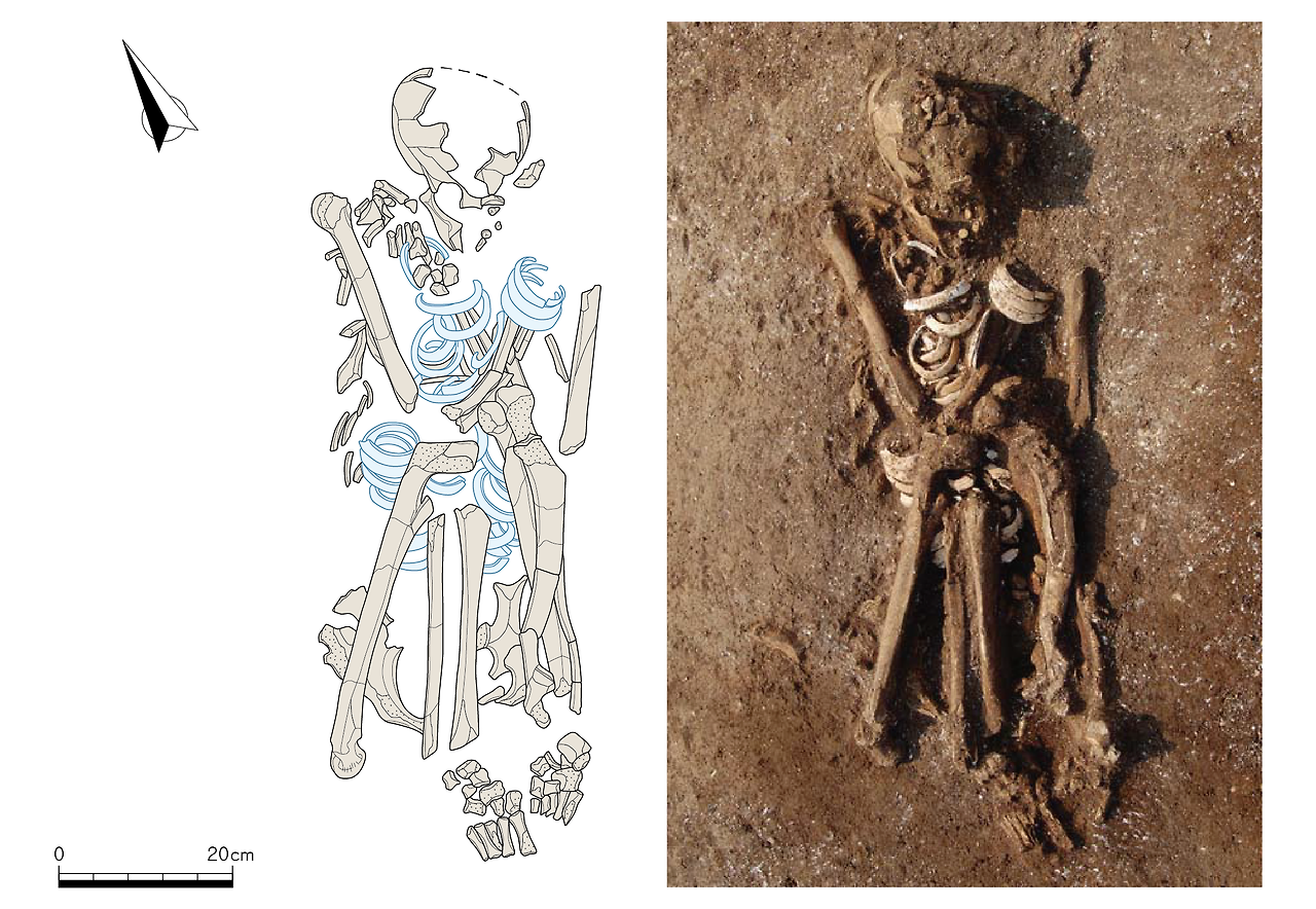 부산 장학유적 6호 인골.png