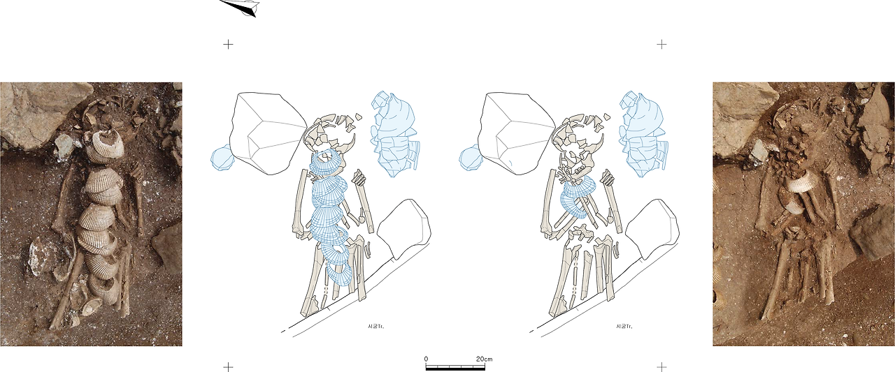 부산 장항유적 1호 인골.png