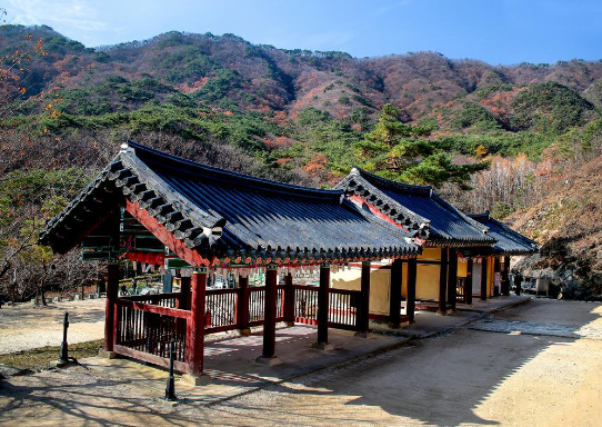 2025-01-31 13 48 08.png