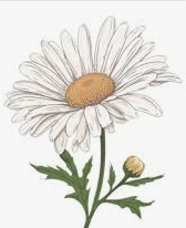 스크린샷 2025-11-10 231124.png