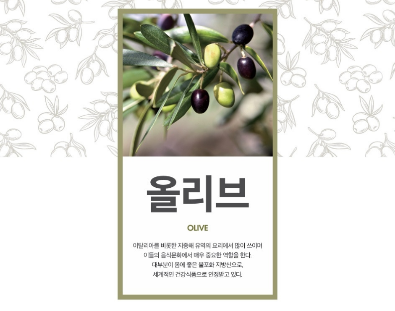 올리브.png
