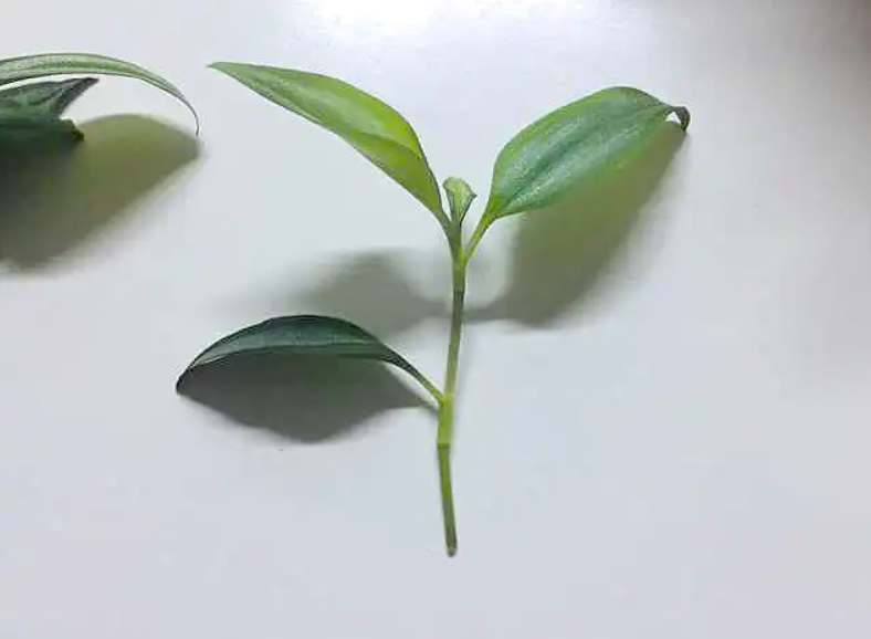 스크린샷 2024-02-11 230335.png