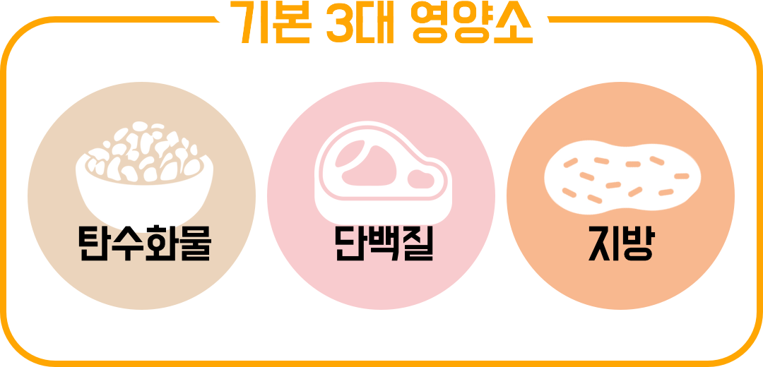꼭 알아야 할 영양소 탄수화물 단백질 지방.png