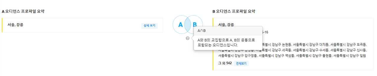 오디언스 구성 상세 화면 예시 (출처 BizSpring).png