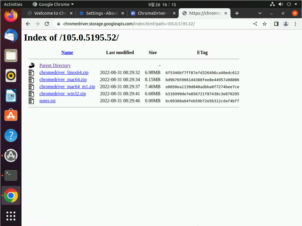 Chrome 브라우저와 Chrome Driver 버전 확인.png