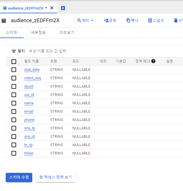 ‘2. 세그먼트’와 ‘3. v_member’ 결합 후 데이터 목록 예시 (출처 BizSpring).png