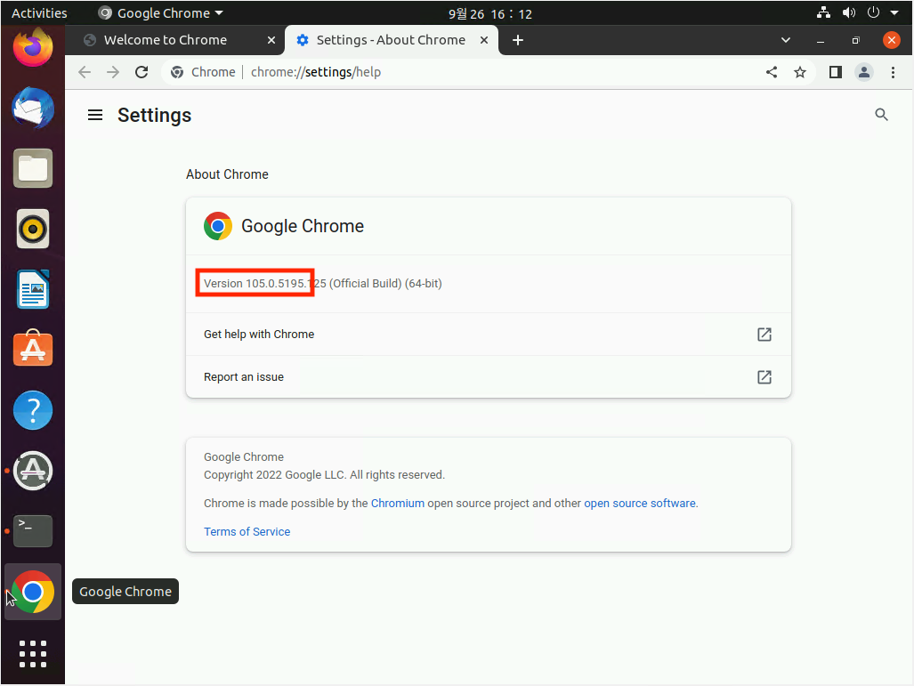 웹브라우저(chrome)의 버전 확인.png