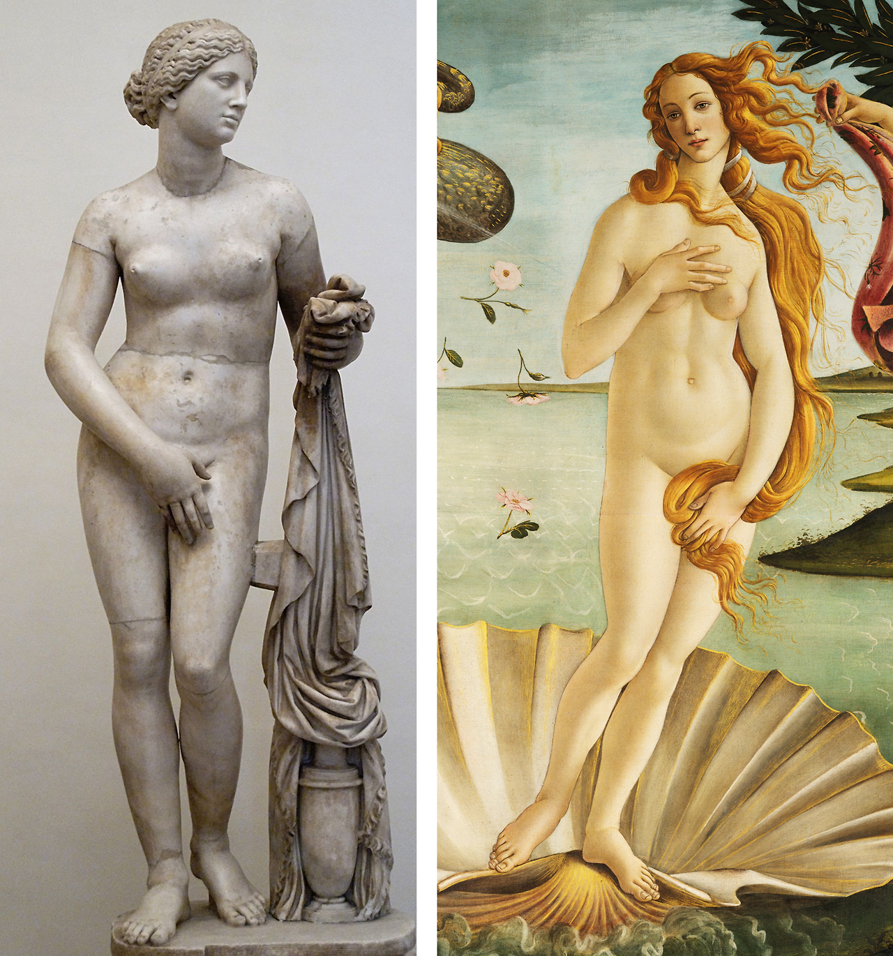 비너스 비교_1.png