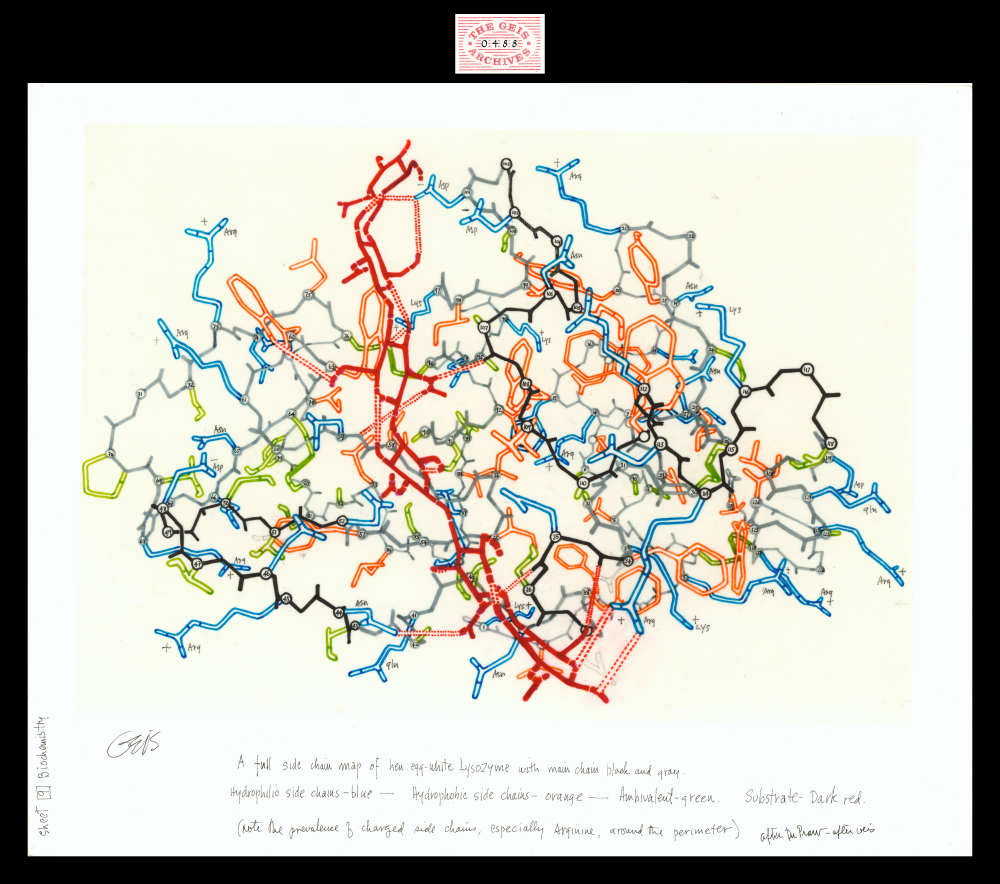 geis-0488-lysozyme.png