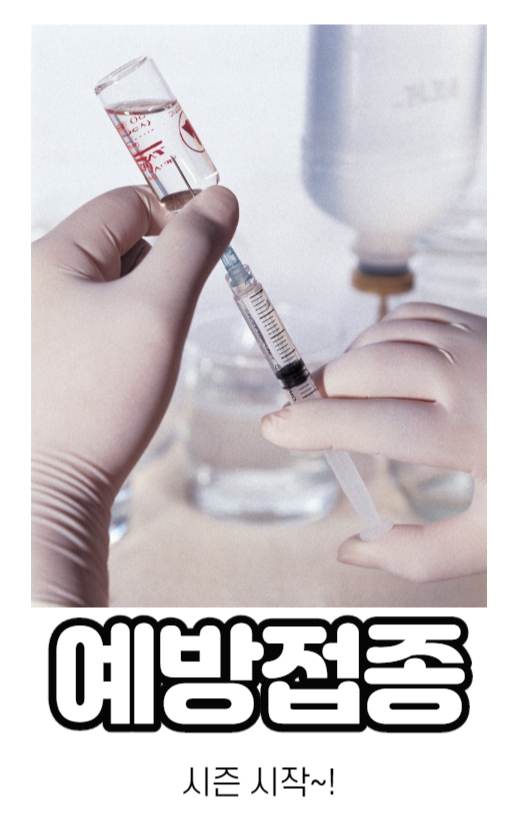 제목을 입력해주세요._1 (1).png