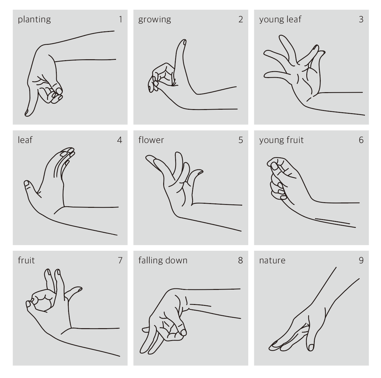 압사라 순환.png