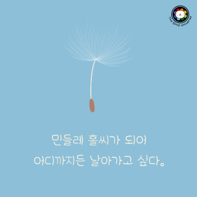 민들레 홀씨가 되어 10*10*100.png