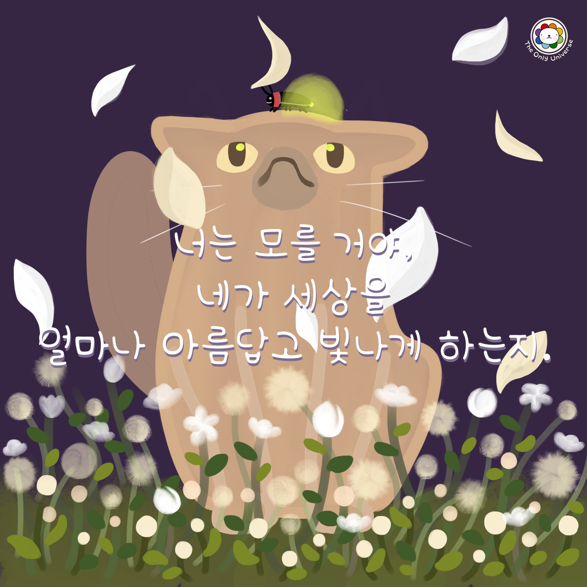 너는 모를 거야 10*10*300.png