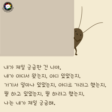 내가 제일 궁금한 건 10*10*100.png