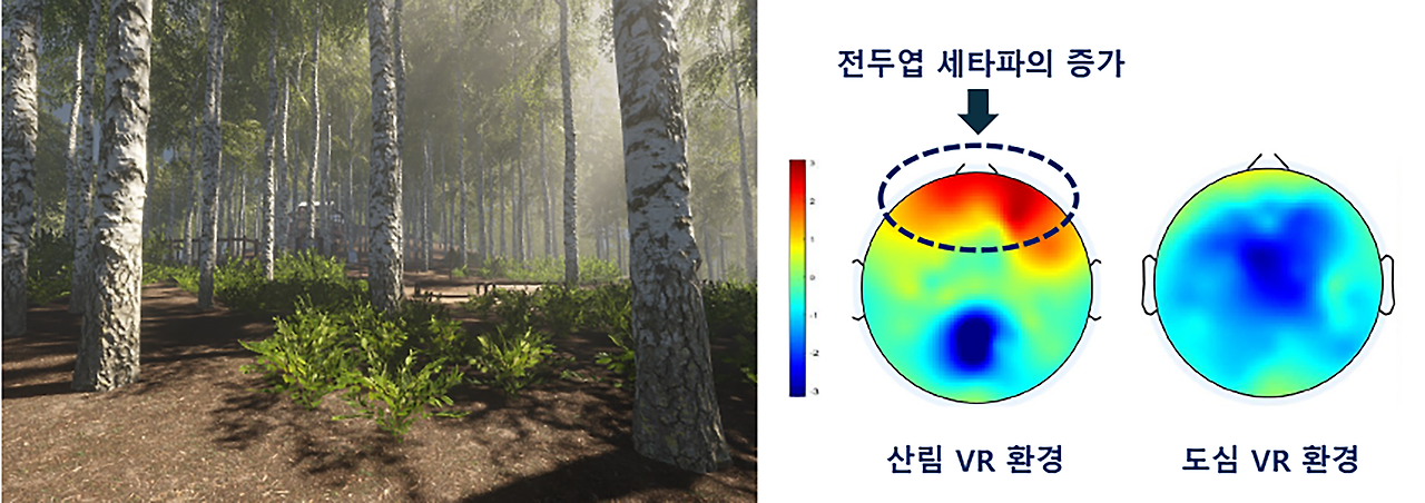 스프 노대영 240128 그림 2_1.png