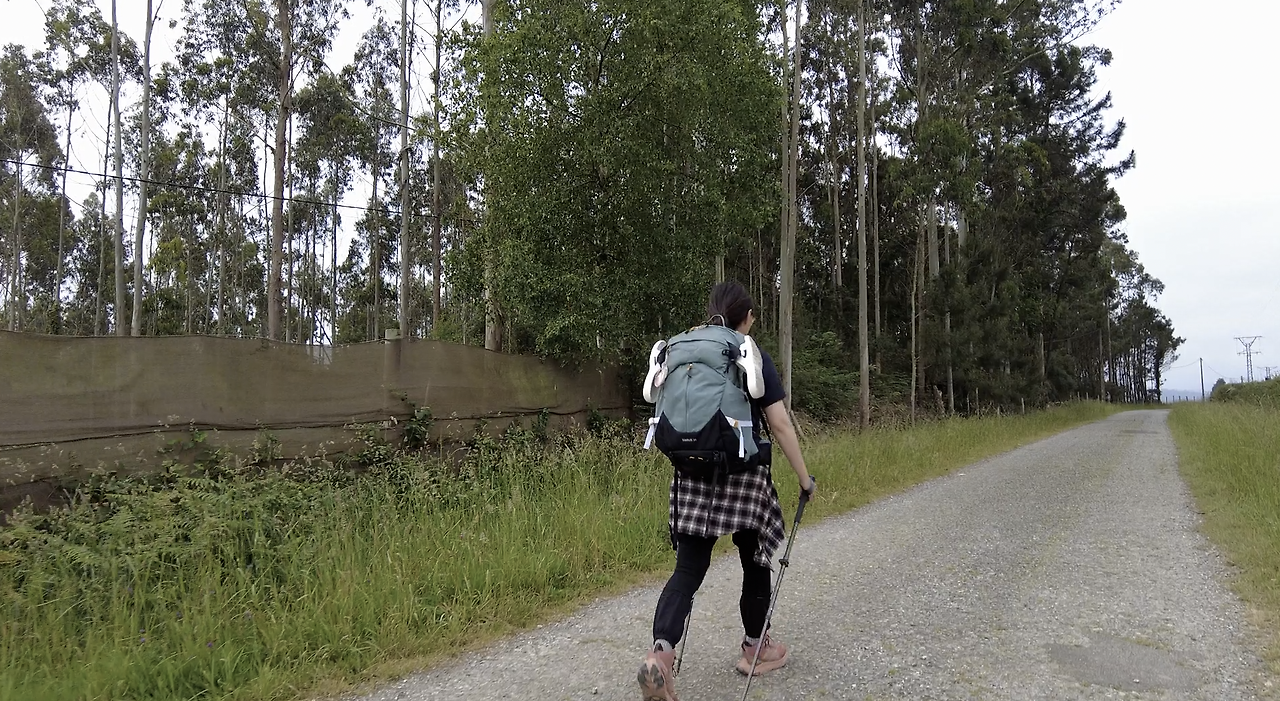 Monosnap DJI_0120.MP4 2024-01-21 11-57-58.png