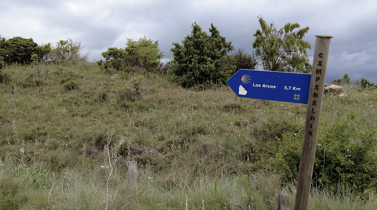 Monosnap DJI_0383.MP4 2023-08-20 13-25-12.png