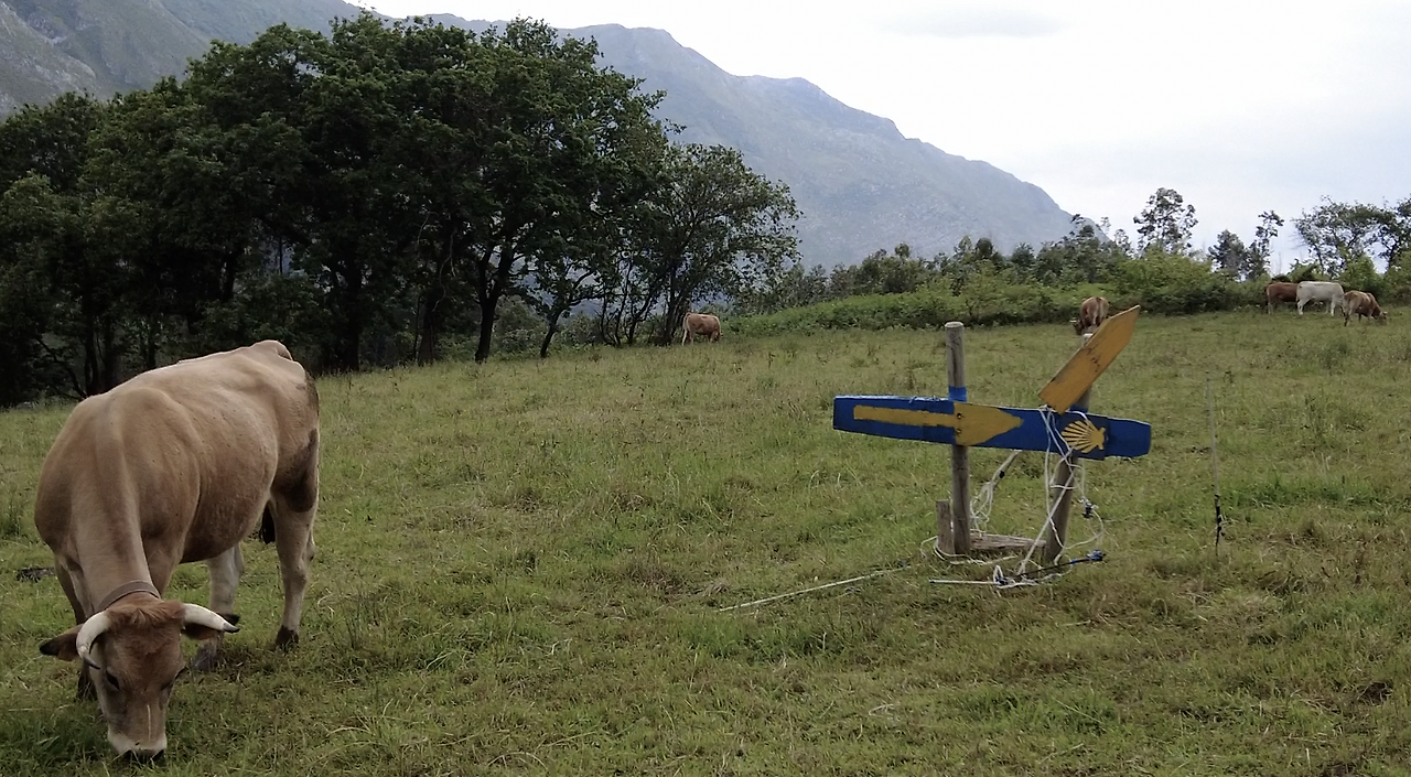 Monosnap DJI_0010.MP4 2023-10-04 11-33-19.png