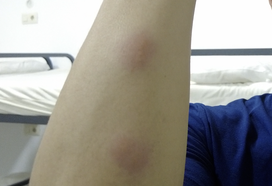 Monosnap DJI_0119.MP4 2024-02-18 10-45-33.png