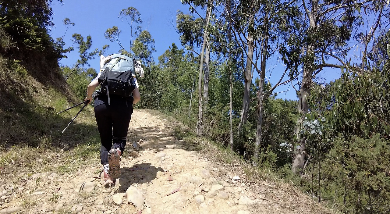 Monosnap DJI_0149.MP4 2023-11-12 14-46-11.png