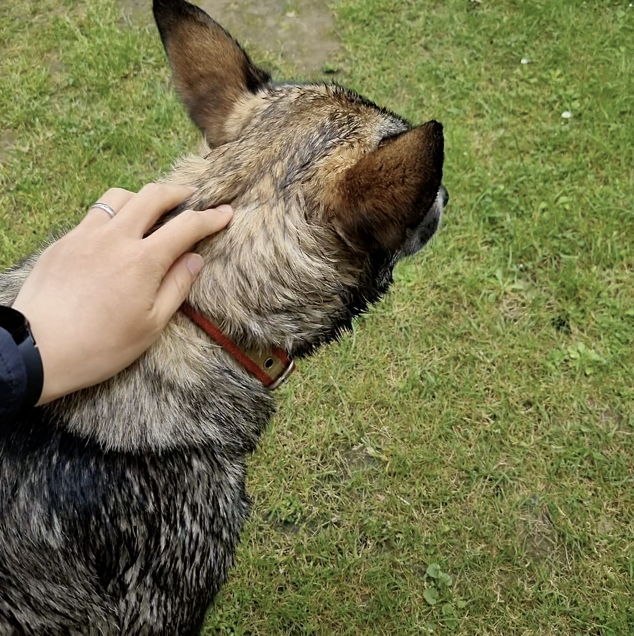 Monosnap 20230518_180631.mp4 2023-10-02 10-27-28.png