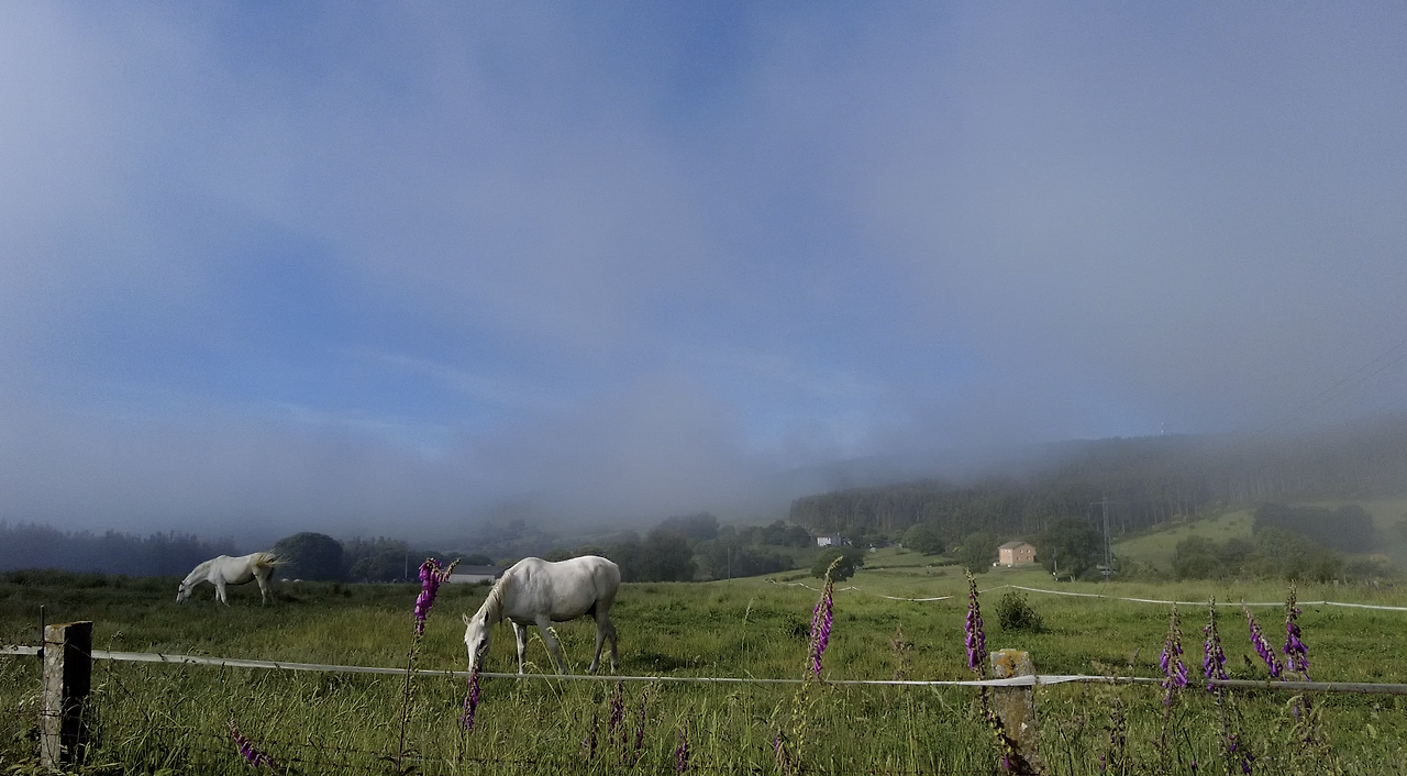 Monosnap DJI_0093.MP4 2024-02-04 10-49-30.png