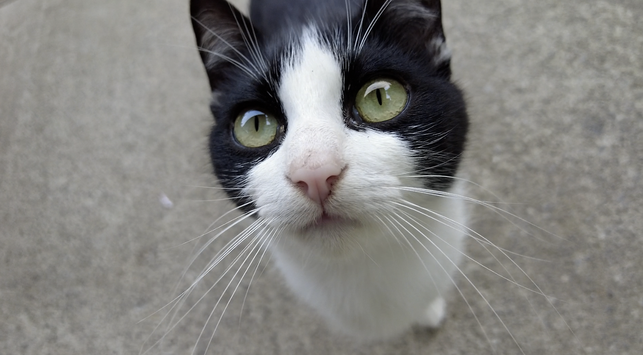 Monosnap DJI_0308.MP4 2023-10-02 10-44-33.png