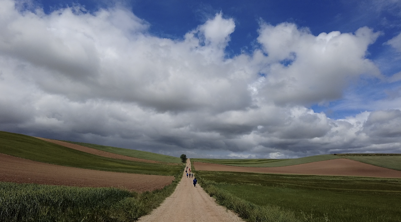 Monosnap DJI_0113.MP4 2023-09-01 14-53-03.png