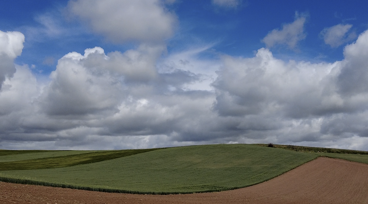 Monosnap DJI_0114.MP4 2023-09-01 15-12-00.png