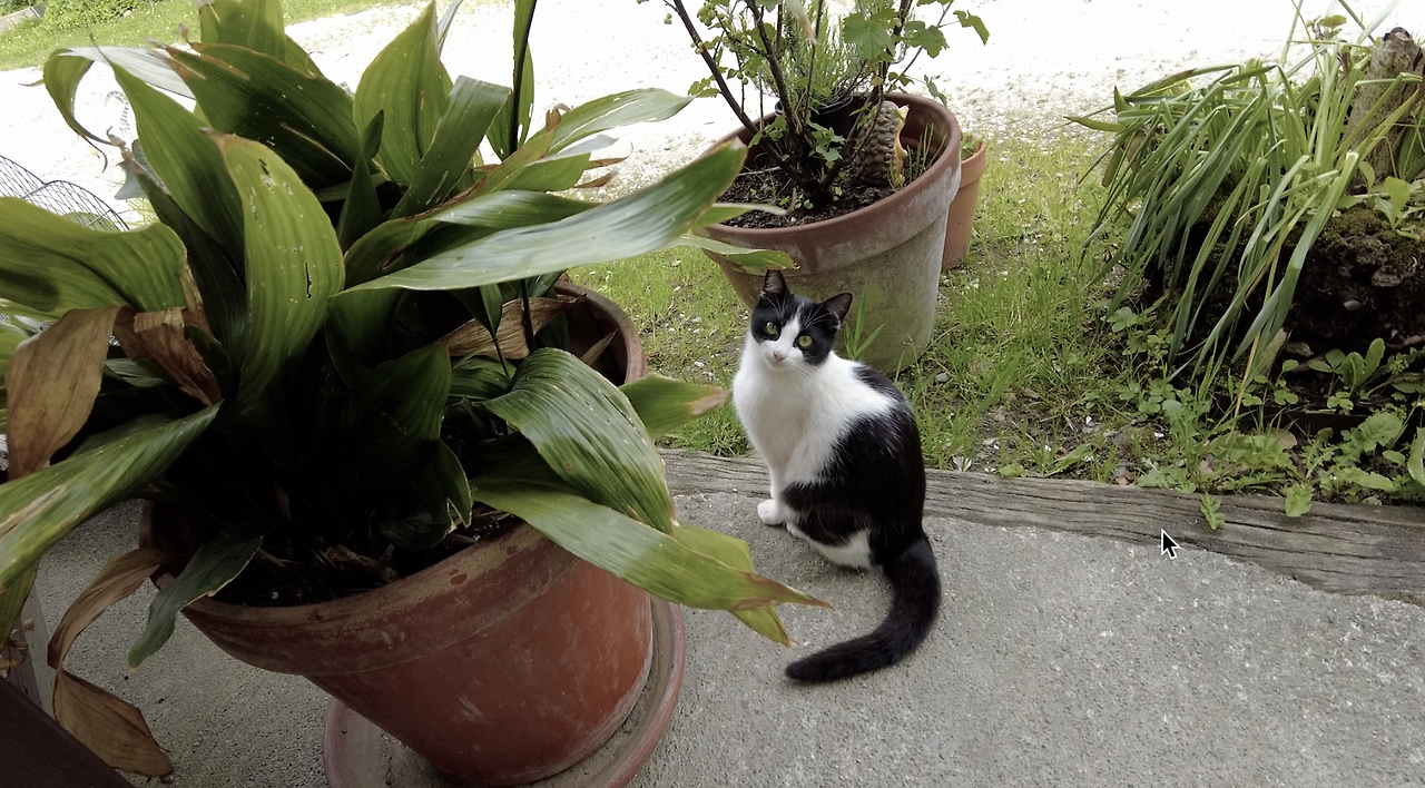 Monosnap DJI_0308.MP4 2023-10-02 10-43-30.png