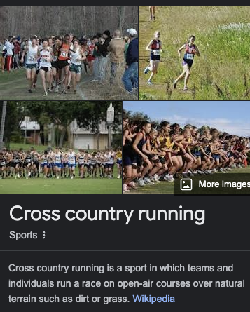 Screenshot 2024-02-29 at 8.34.18 pm.png