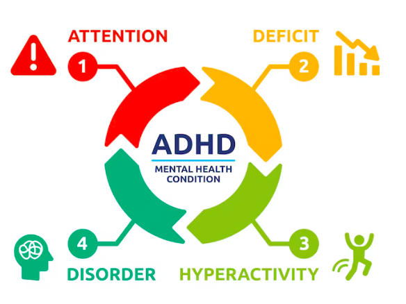 스크린샷 2024-07-01 오전 6.49.57.png