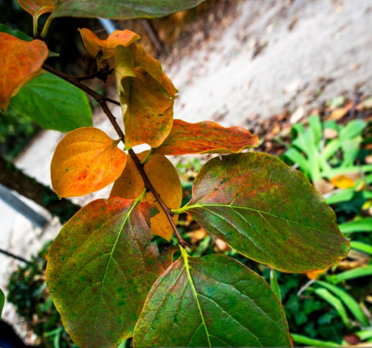 스크린샷 2025-09-20 081532.png