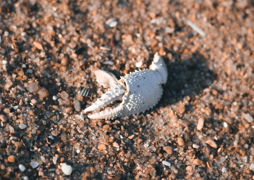 스크린샷 2025-09-20 081410.png