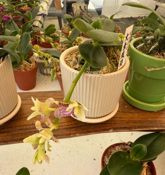 스크린샷 2025-05-18 143642.png