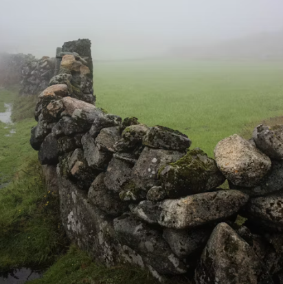 스크린샷 2024-07-17 153734.png