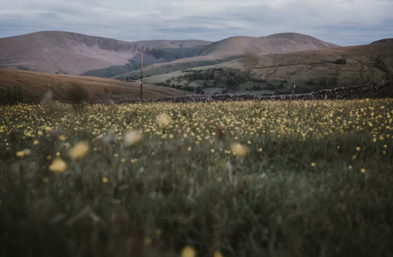 스크린샷 2024-07-16 오후 8.49.58.png